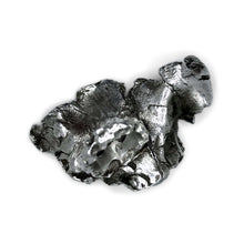 Load image into Gallery viewer, Dipped in Silver-Ring-Alex Skeffington