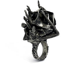 Load image into Gallery viewer, Heavy Metal-Ring-Alex Skeffington